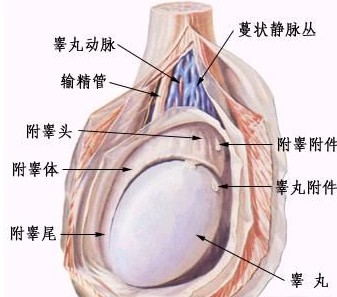 四川看男科那个医院较好